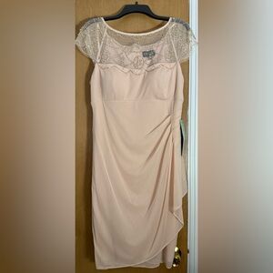 Chic Strapless Blush Dress